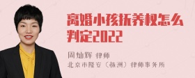 离婚小孩抚养权怎么判定2022