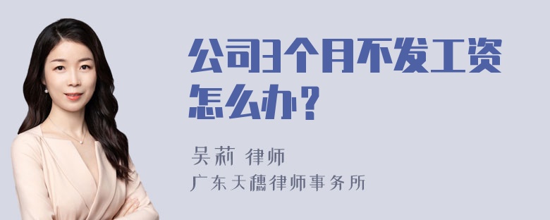 公司3个月不发工资怎么办？