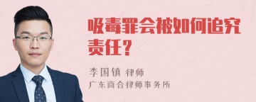 吸毒罪会被如何追究责任？