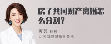 房子共同财产离婚怎么分割？