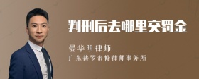 判刑后去哪里交罚金