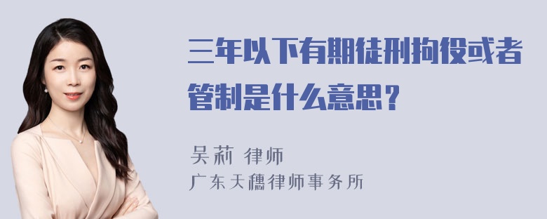 三年以下有期徒刑拘役或者管制是什么意思？