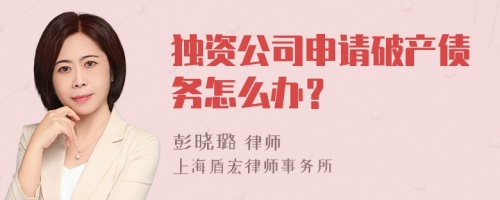 独资公司申请破产债务怎么办？