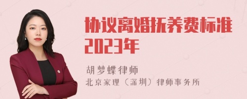 协议离婚抚养费标准2023年