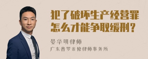 犯了破坏生产经营罪怎么才能争取缓刑？