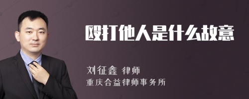 殴打他人是什么故意