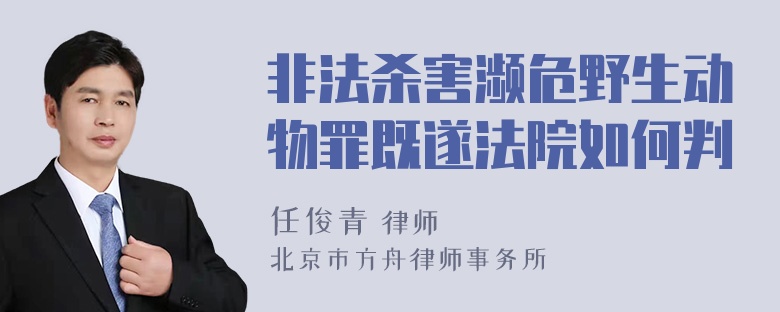 非法杀害濒危野生动物罪既遂法院如何判