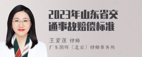 2023年山东省交通事故赔偿标准