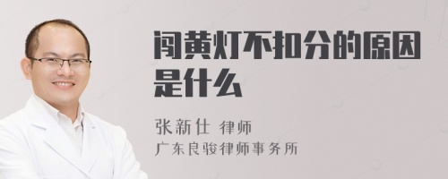 闯黄灯不扣分的原因是什么