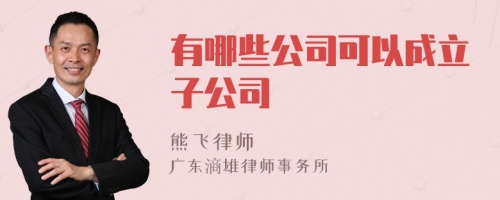 有哪些公司可以成立子公司