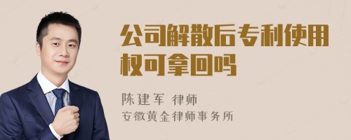 公司解散后专利使用权可拿回吗