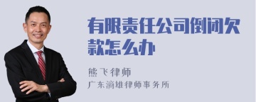 有限责任公司倒闭欠款怎么办