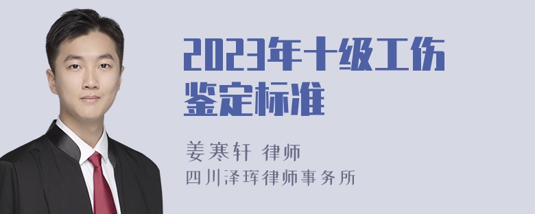 2023年十级工伤鉴定标准