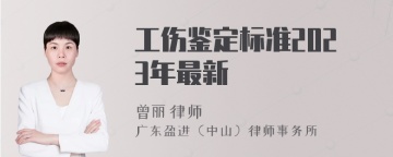 工伤鉴定标准2023年最新