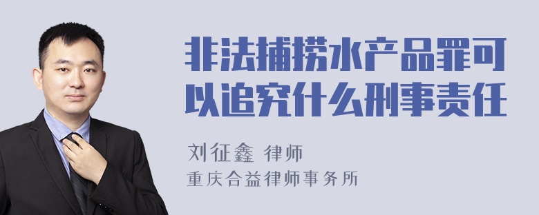 非法捕捞水产品罪可以追究什么刑事责任