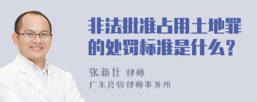 非法批准占用土地罪的处罚标准是什么？