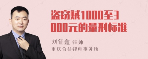 盗窃贼1000至3000元的量刑标准