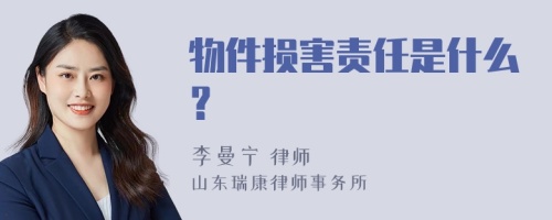 物件损害责任是什么？