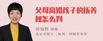 父母离婚孩子的抚养权怎么判