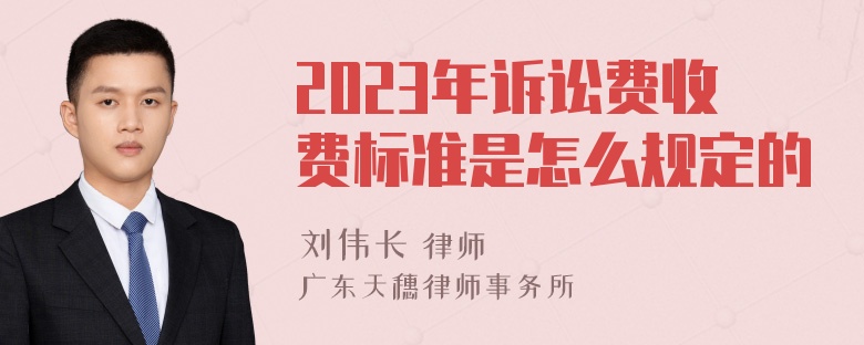 2023年诉讼费收费标准是怎么规定的