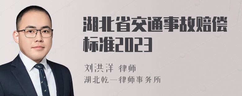 湖北省交通事故赔偿标准2023