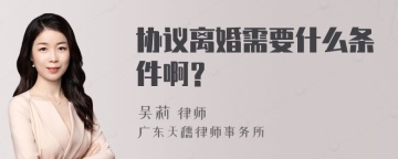 协议离婚需要什么条件啊？