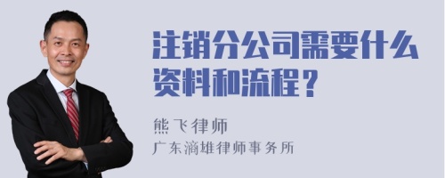 注销分公司需要什么资料和流程？