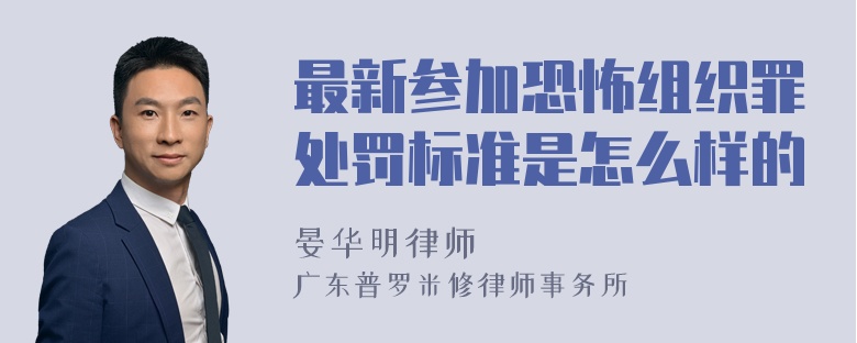 最新参加恐怖组织罪处罚标准是怎么样的