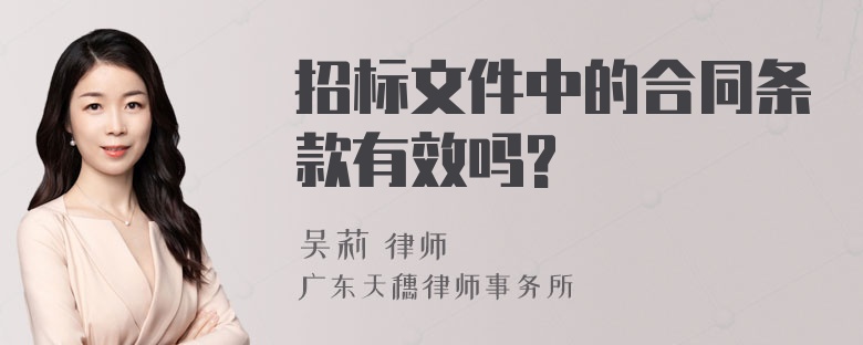 招标文件中的合同条款有效吗?