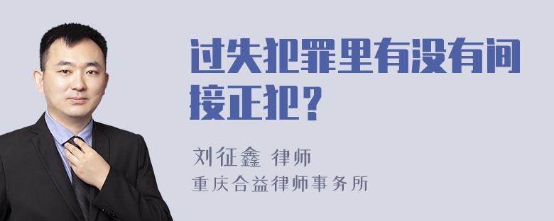 过失犯罪里有没有间接正犯？