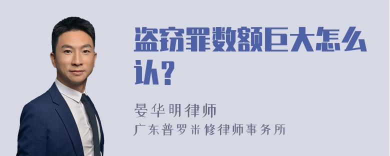 盗窃罪数额巨大怎么认？