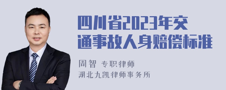 四川省2023年交通事故人身赔偿标准