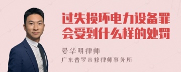 过失损坏电力设备罪会受到什么样的处罚