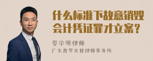 什么标准下故意销毁会计凭证罪才立案？