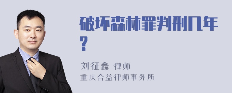 破坏森林罪判刑几年?