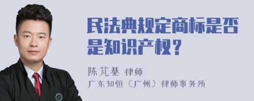 民法典规定商标是否是知识产权？