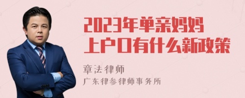 2023年单亲妈妈上户口有什么新政策