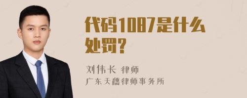 代码1087是什么处罚?