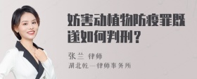 妨害动植物防疫罪既遂如何判刑？