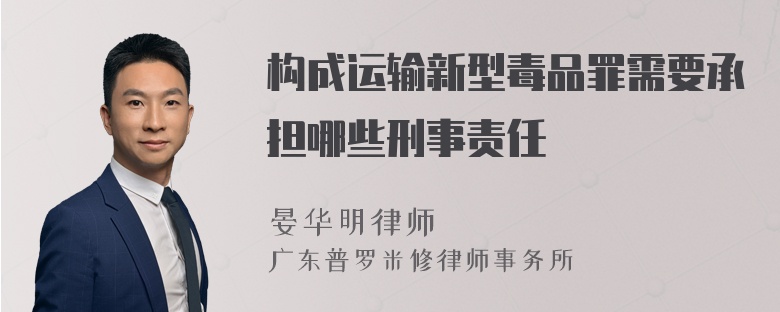 构成运输新型毒品罪需要承担哪些刑事责任