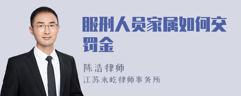 服刑人员家属如何交罚金