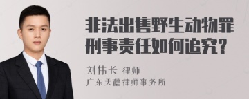 非法出售野生动物罪刑事责任如何追究?