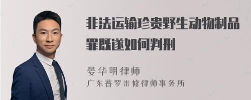 非法运输珍贵野生动物制品罪既遂如何判刑