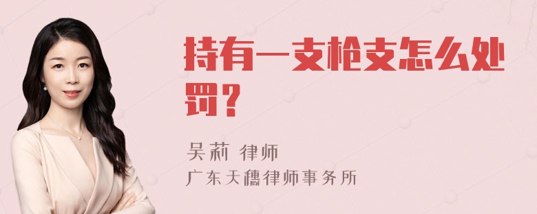 持有一支枪支怎么处罚？