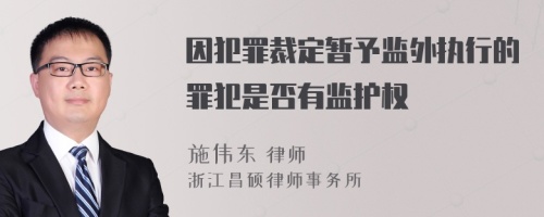 因犯罪裁定暂予监外执行的罪犯是否有监护权