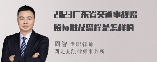 2023广东省交通事故赔偿标准及流程是怎样的