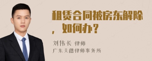 租赁合同被房东解除，如何办？