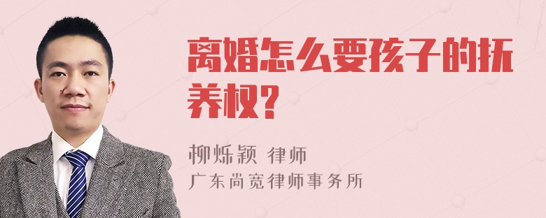 离婚怎么要孩子的抚养权?