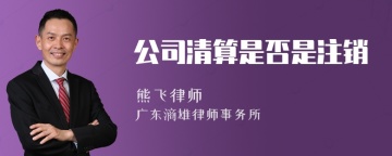 公司清算是否是注销