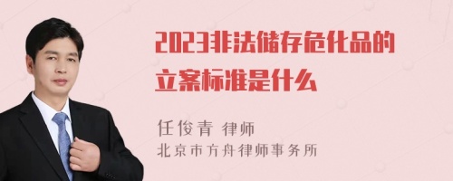 2023非法储存危化品的立案标准是什么